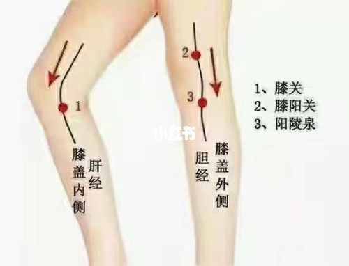 76疏通肝胆经,帮助肝胆排毒,调节肝胆代谢功能.