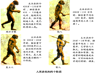 历史人类进化手抄报 人类的老师手抄报
