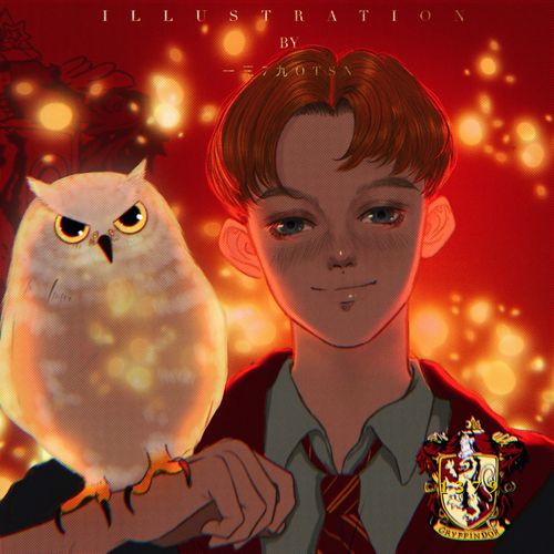 哈利波特|格兰芬多头像_哈利波特_冒险_影视_电影