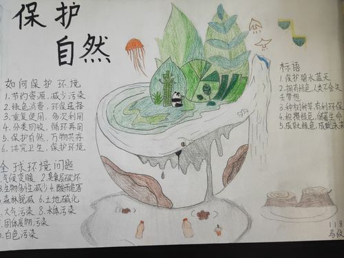 昭通一中凤池分校初二年级地理"珍惜,保护和节约自然资源"手抄报竞赛