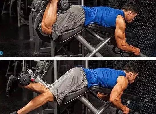 了解坐姿腿屈伸正确动作,了解俯身腿弯举正确动作,细节很重要