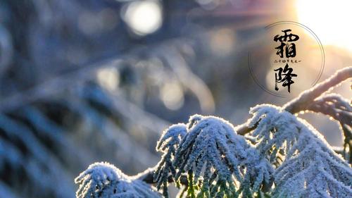 传统节日霜降到来