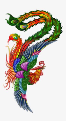 凤凰鸟图片大全大图