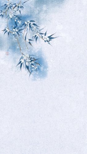 1000_1777 竖版 竖屏