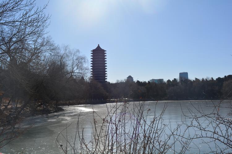 北京大学