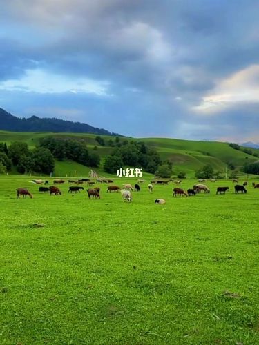 大草原_景点_草原_旅行_风景_旅游攻略_出行_人文风光