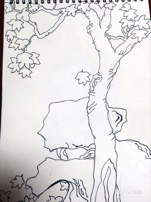 怎么画梧桐树