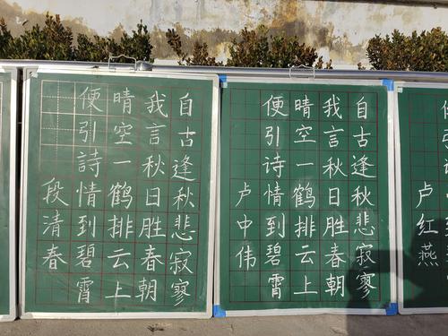 盘阳学校教师粉笔字展示