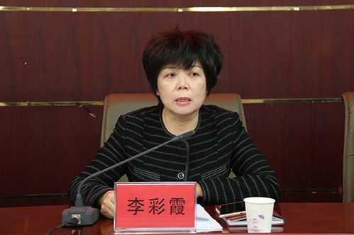 区委常委,宣传部长李彩霞主持会议