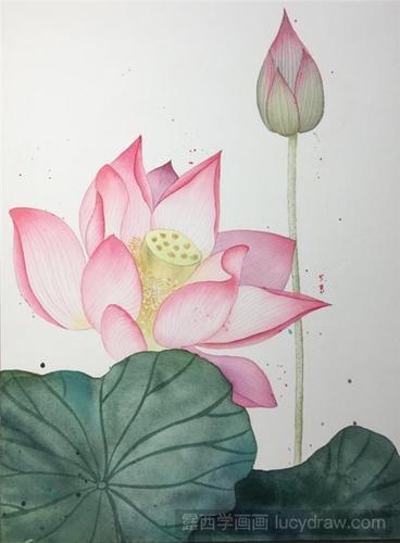 荷花的水彩画要怎么画?超详细水彩荷花步骤