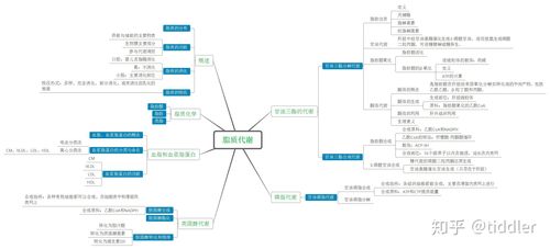 生物化学脂质代谢思维导图系列七