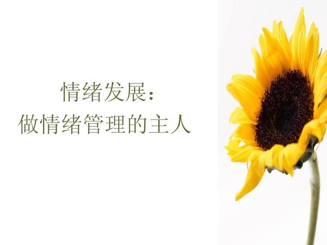 大学生心理健康教育-情绪ppt