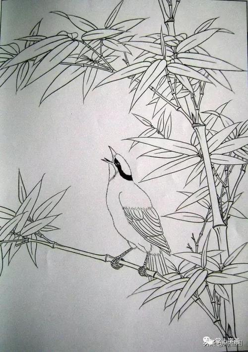 书画联盟丨工笔画梅兰竹菊画法大全第一部分