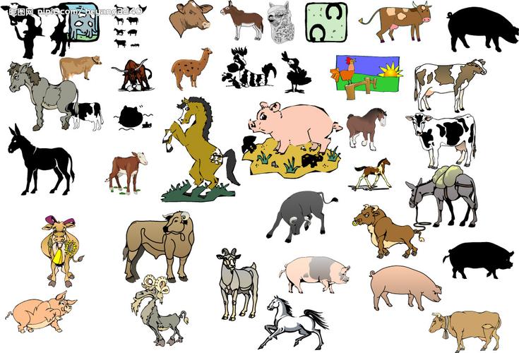 各种家禽家畜图片