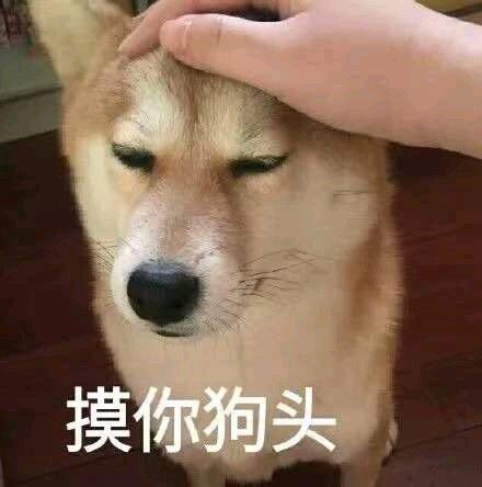 步缓思乡酒唤人 _ 哔哩哔哩相簿