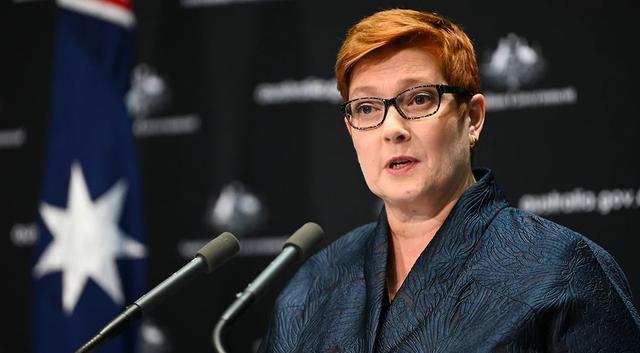 澳洲外长佩恩.(sbs图片)