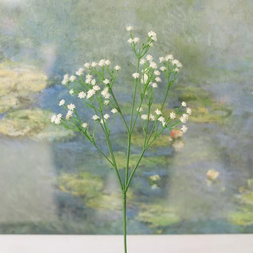 商品编码:color单枝满天星 收藏商品 已收藏取消收藏