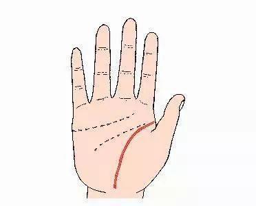 手相中重要的三根线你了解多少