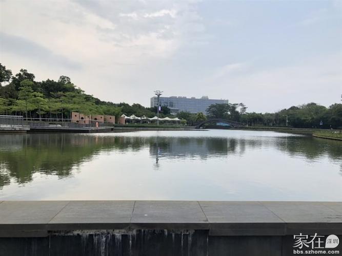 今天去附近的坪山河湿地公园走走