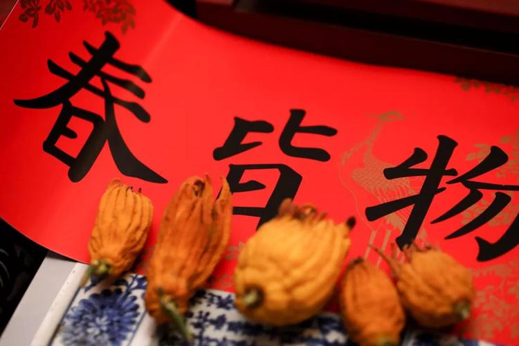 屠苏酒和乌枣酒, 是中国人喝了几千年的两款酒, 它们能除病毒,强健