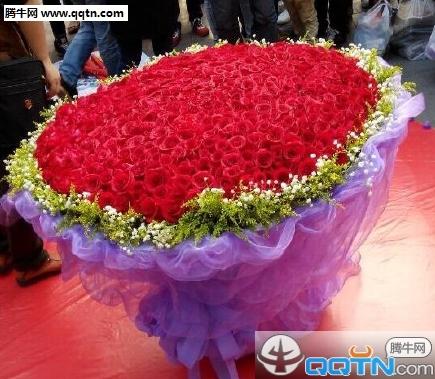 玫瑰花图片大全999朵情人节专属你收到过玫瑰花吗