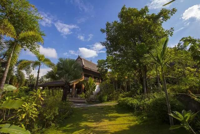 携一抹恬淡于时光深处,盈一份诗意于似水流年西双版纳