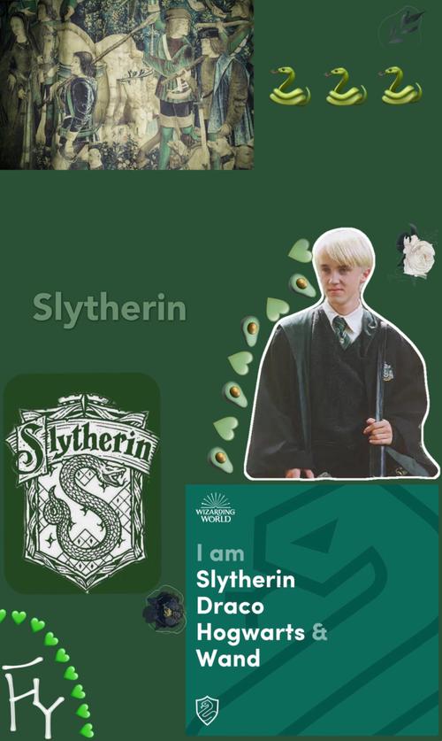 斯莱特林|elegant careerist