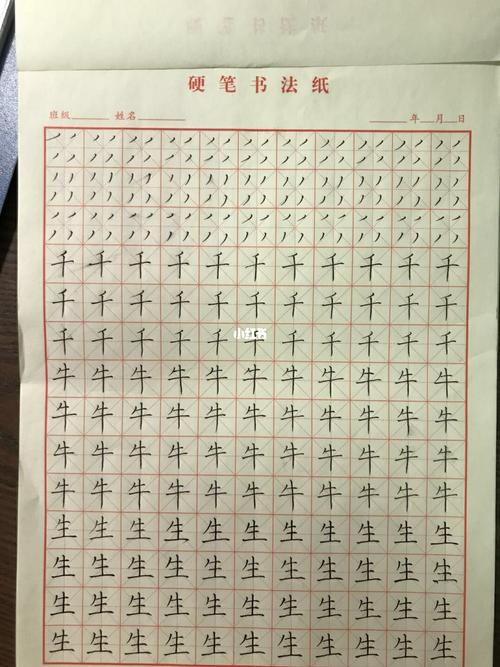 硬笔书法基本笔画零基础练字教学学生作业_练字_硬笔书法_书法_控笔