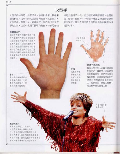 手相学习百科手的形状