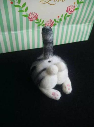 猫咪的蛋蛋也太可爱了吧!