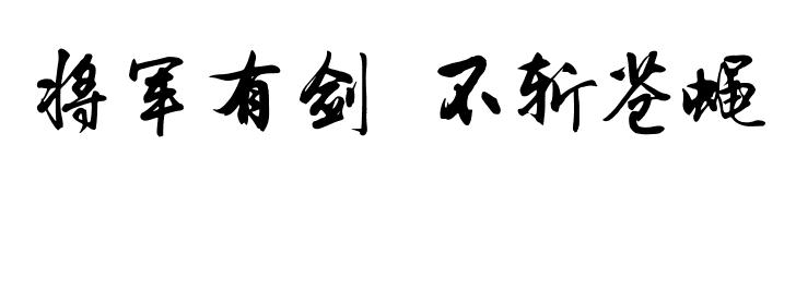 "将军有剑,不斩苍蝇"这句话有什么含义?
