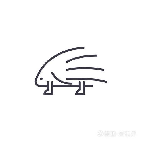 豪猪矢量线图标, 符号, 背景插图, 可编辑笔画