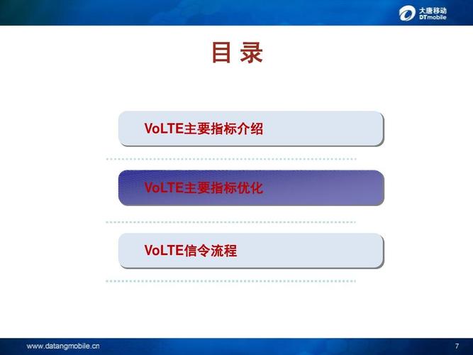 目 vol录e主t要指介标 绍vole主t指标优要 化v lto信e流程令   全