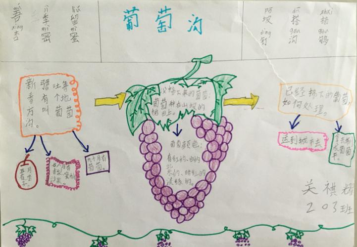 10,葡萄沟 预习