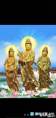 [试管婴儿]大慈大悲观世音菩萨保佑我的宝宝