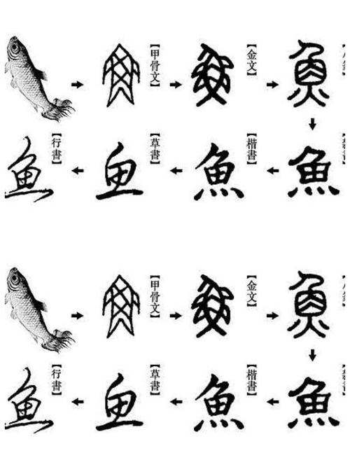 鱼  的演变过程