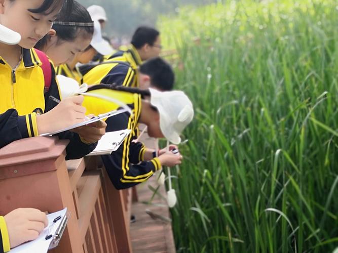 黄陂区双凤中学开展"绿色军运 走近大自然"生态自然笔记研学