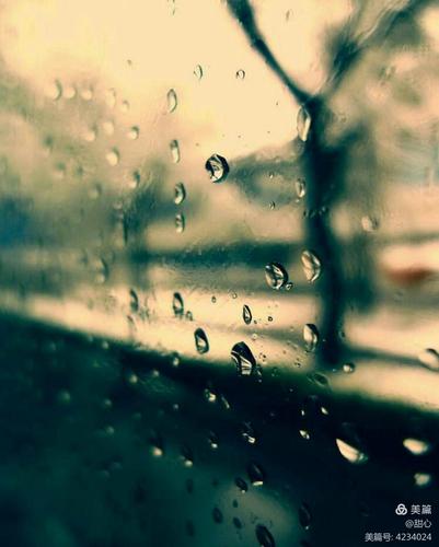 喜欢一个人听雨