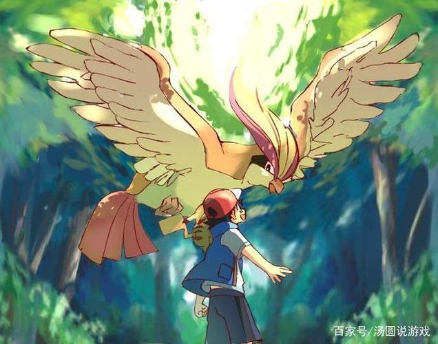 口袋妖怪:初代的比雕竟然有这么厉害!怪不得大家都希望它回归