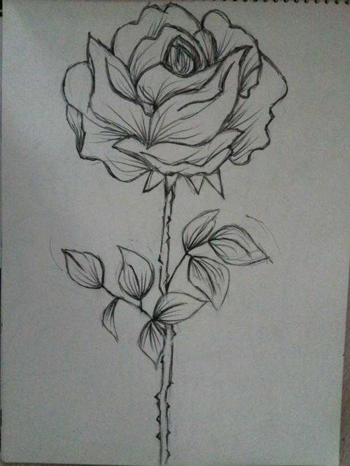 一束玫瑰花素描(图02/12)玫瑰花的简笔画美甲图片大全