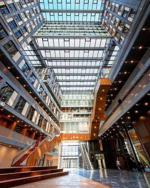 阿姆斯特丹自由大学