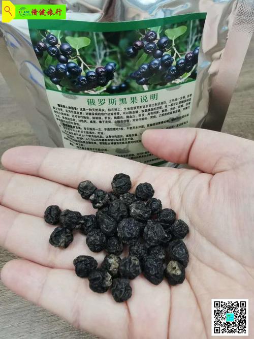 俄罗斯黑果100克/袋