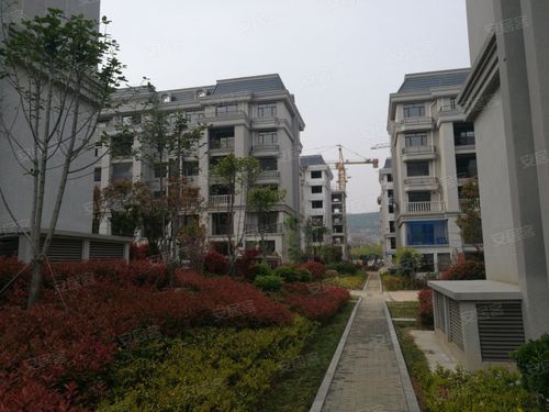 润扬首府,武夷山路,近浦东路-枣庄润扬首府二手房