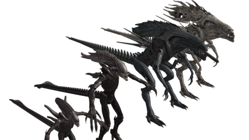 【异形生物学】xenomorph系列生物介绍(extra iii)