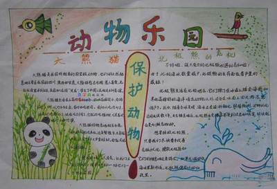 关于动物                        kb 初一生物手抄报 大图版-23kb