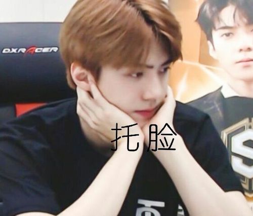 吴世勋表情包之"托脸"