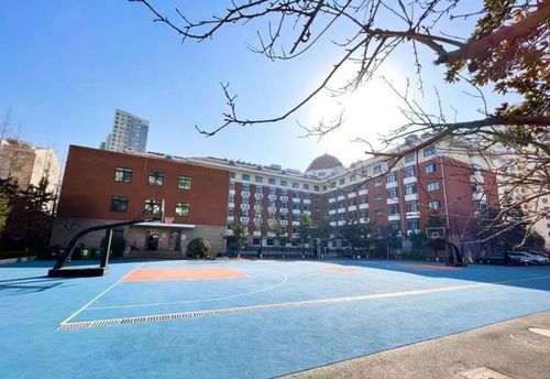 将来到青大附中高中——您可以关注"青岛华青教育投资有限公司"公众号
