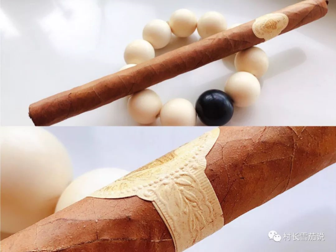 又爱又恨雪茄的长矛尺寸一
