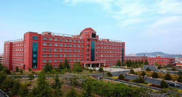 青岛城市学院代号