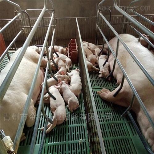 供应-猪场母猪产床的组装方式